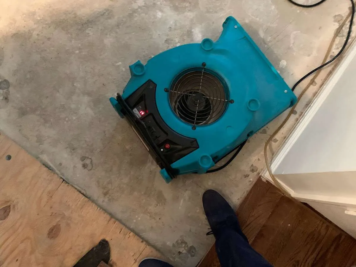 Air mover drying subfloor during Leak Detection & Repair in Litchfield Beach